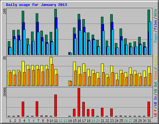 Daily usage for January 2013