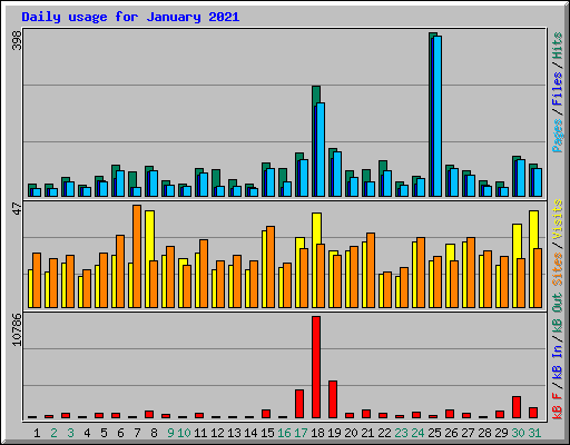 Daily usage for January 2021