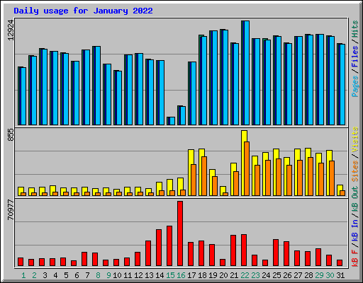 Daily usage for January 2022