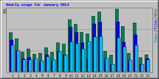 Hourly usage for January 2013