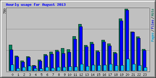 Hourly usage for August 2013