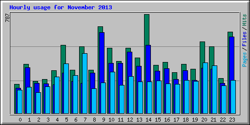 Hourly usage for November 2013