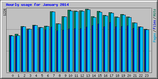 Hourly usage for January 2014