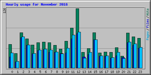 Hourly usage for November 2016