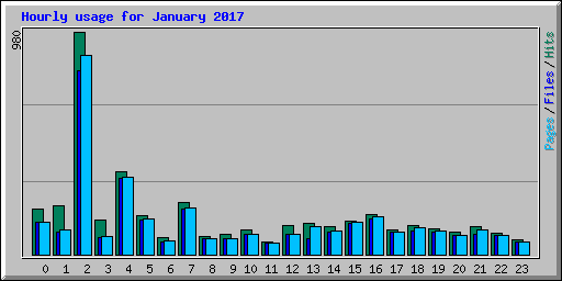 Hourly usage for January 2017