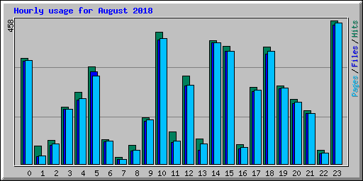Hourly usage for August 2018