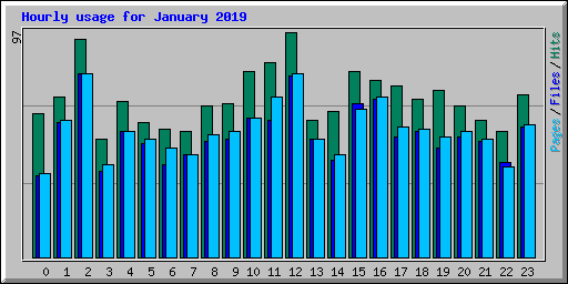 Hourly usage for January 2019