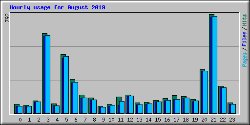 Hourly usage for August 2019