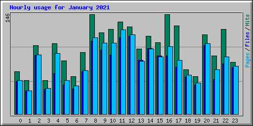 Hourly usage for January 2021