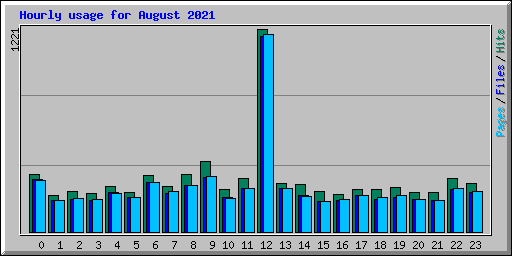 Hourly usage for August 2021