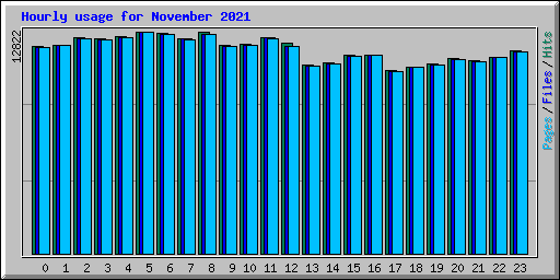 Hourly usage for November 2021