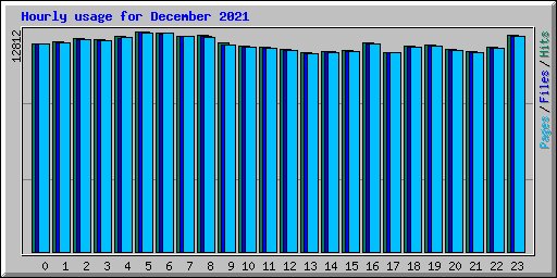 Hourly usage for December 2021