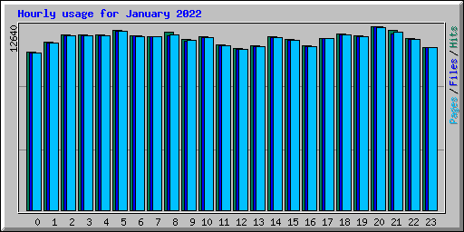 Hourly usage for January 2022